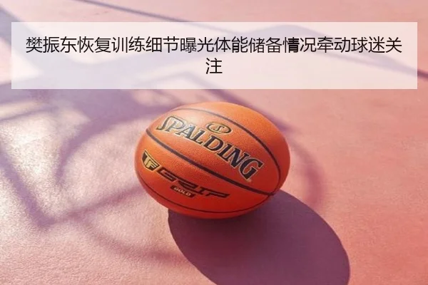 樊振东恢复训练细节曝光体能储备情况牵动球迷关注